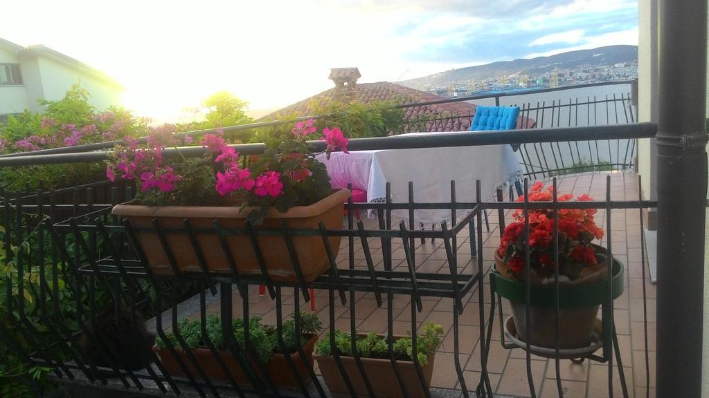 Muggia Uphill B&B Ngoại thất bức ảnh